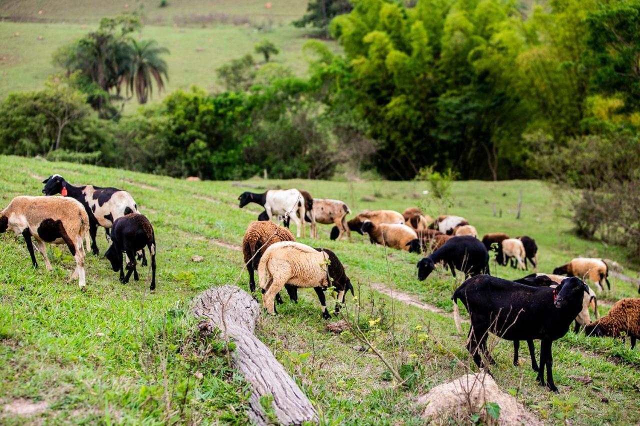 Hotel Fazenda Horizonte Belo Brumadinho Eksteriør billede