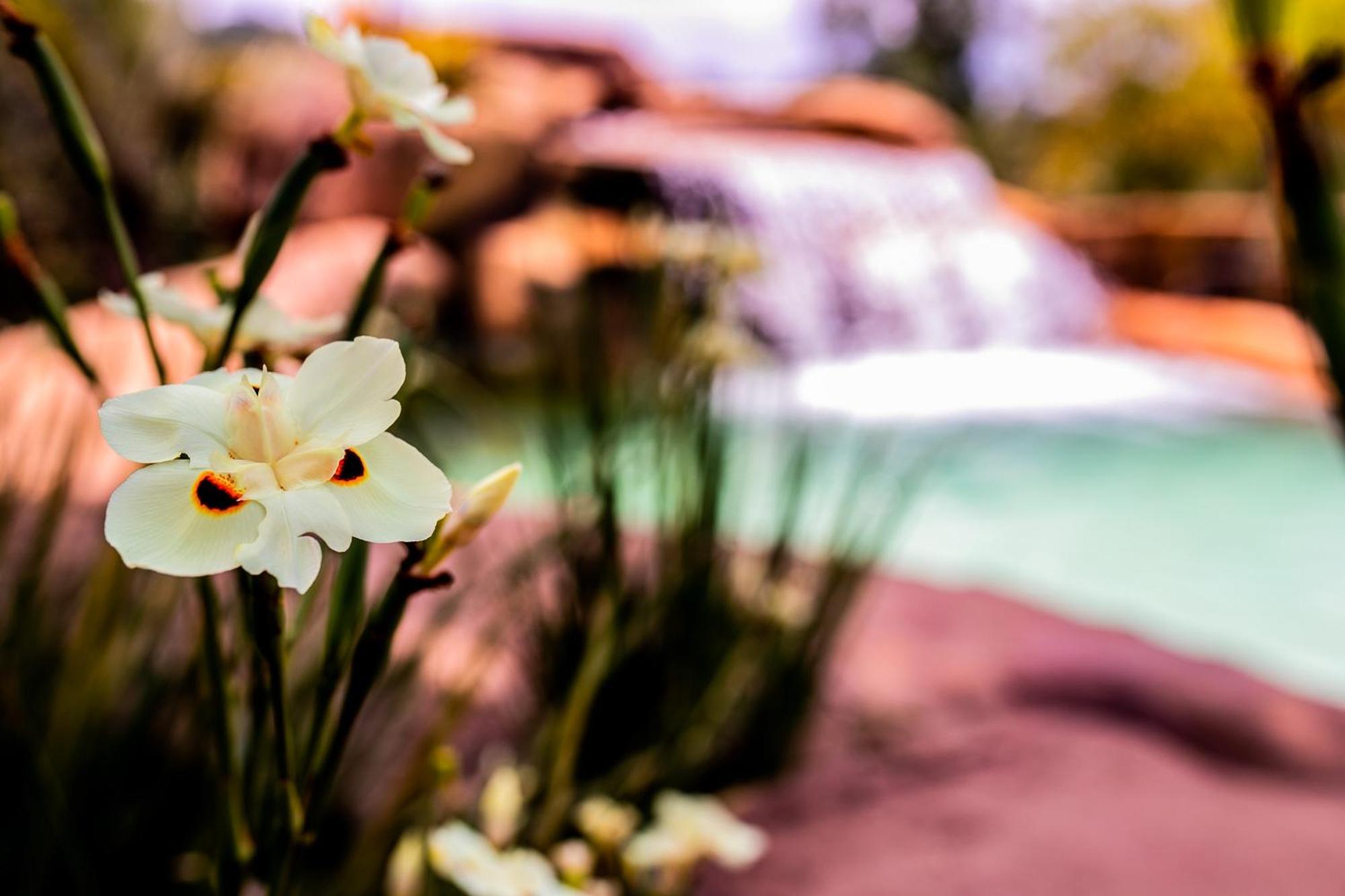 Hotel Fazenda Horizonte Belo Brumadinho Eksteriør billede